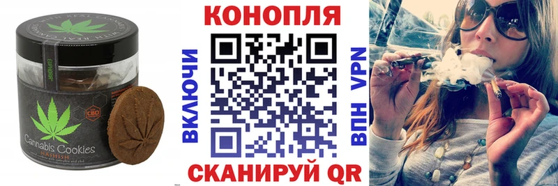 Canna-Cookies марихуана  Буйнакск 